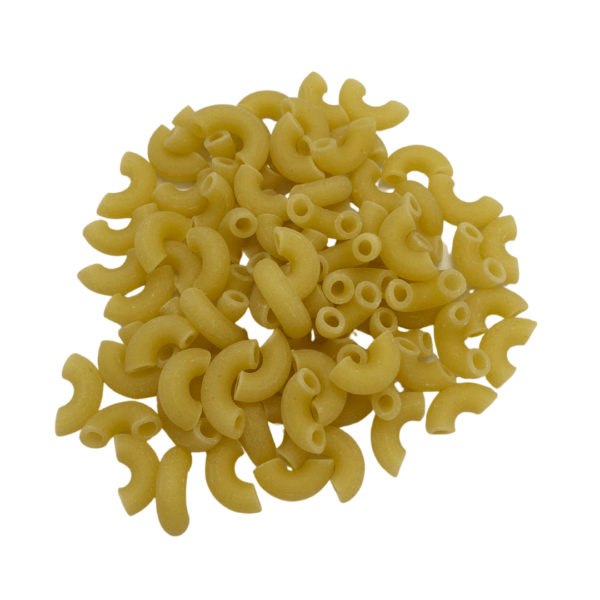 coquillettes-blanches