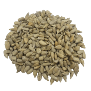 tournesol-décortiqué